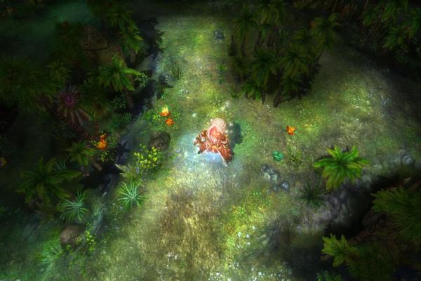 云端翔龙骑士团声望开启方法